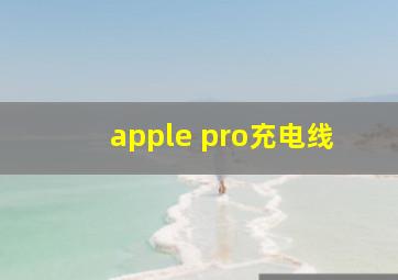 apple pro充电线